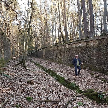 Chambre Avec Grand Lit Soultz-sous-Forets Exterior foto