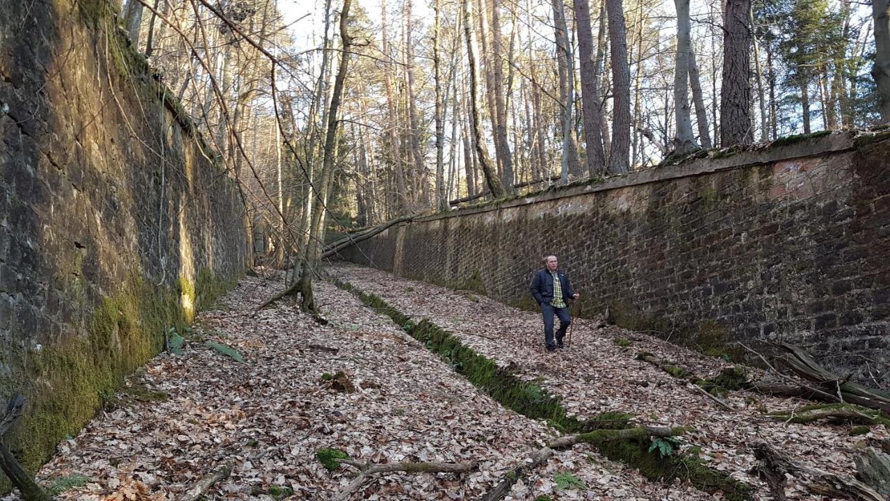 Chambre Avec Grand Lit Soultz-sous-Forets Exterior foto